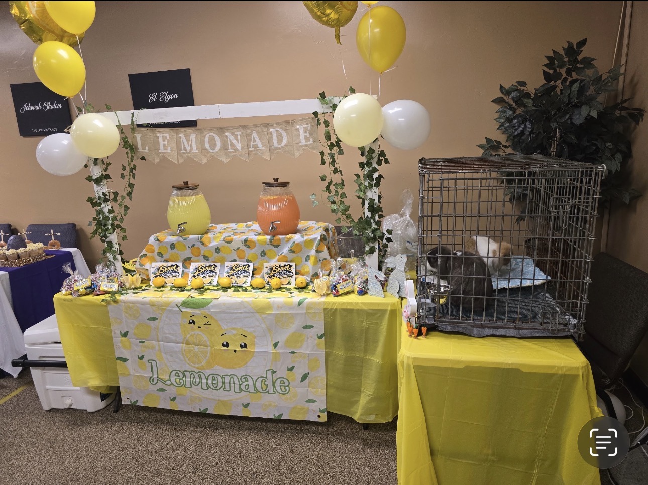 A decorated lemonade and Easter outreach display